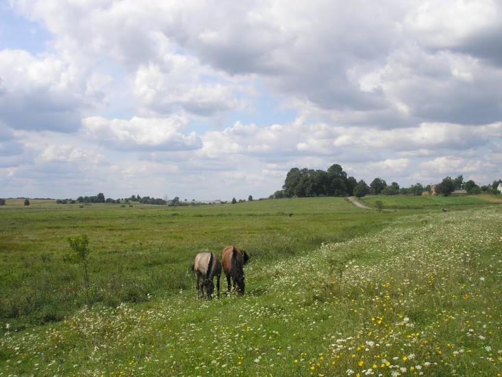 Шпиколоси з panoramio.com - Шпиколоси