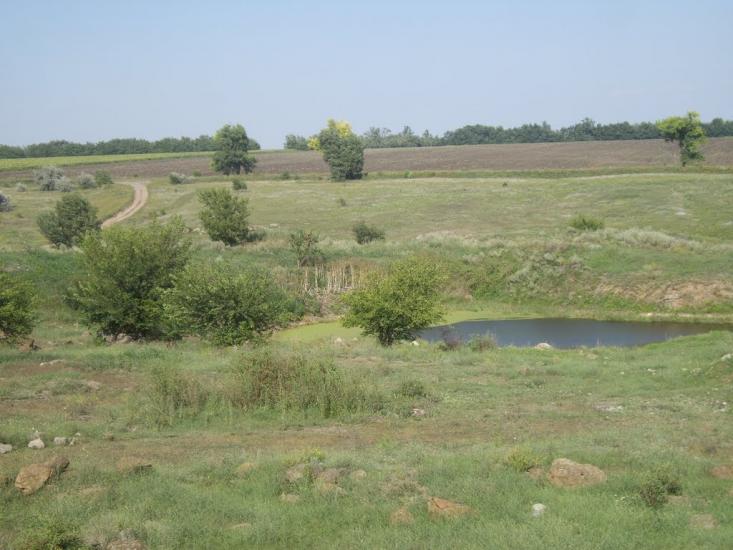 Арбузинка з panoramio.com - Арбузинка