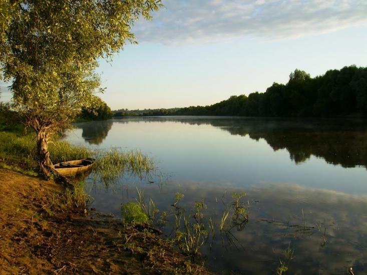 Пирогівка з panoramio.com - Пироговка