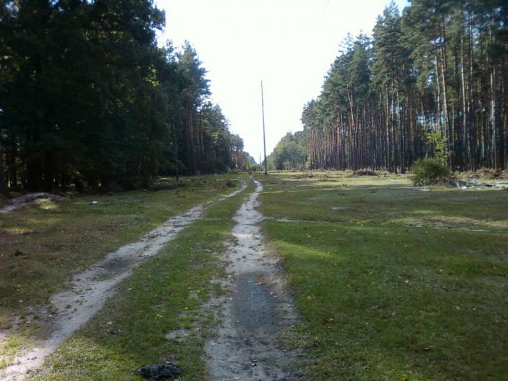 Павлівка з panoramio.com - Павлівка