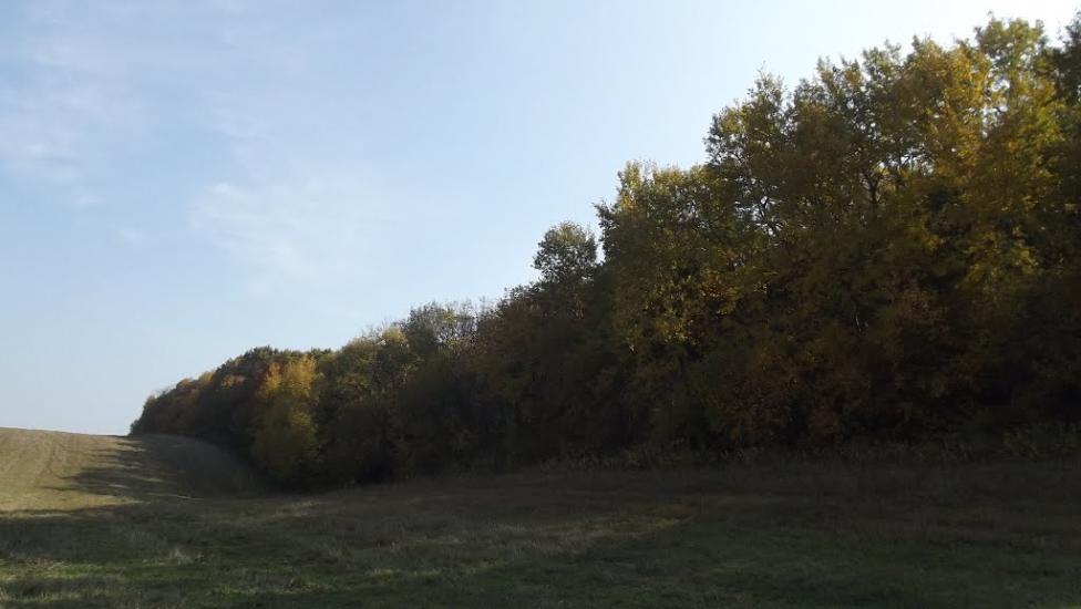 Лаврів з panoramio.com - Лавров