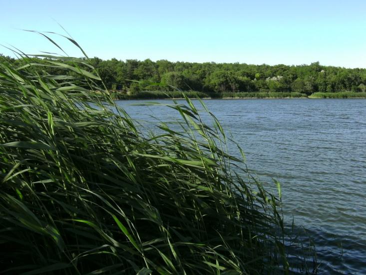 Павлопіль з panoramio.com - Павлополь