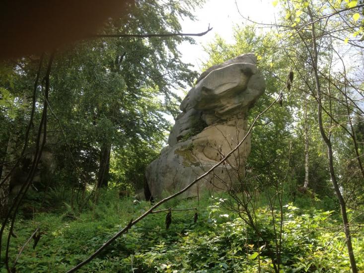 Кам'янка з panoramio.com - Каменка