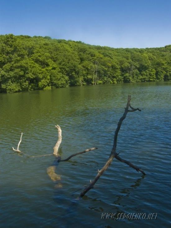 Червона Поляна з panoramio.com - Червоная Поляна