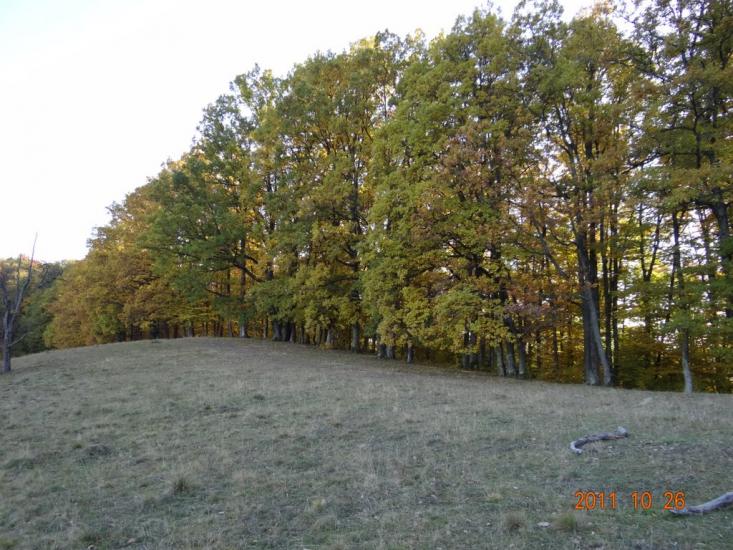 Біла Церква з panoramio.com - Біла Церква