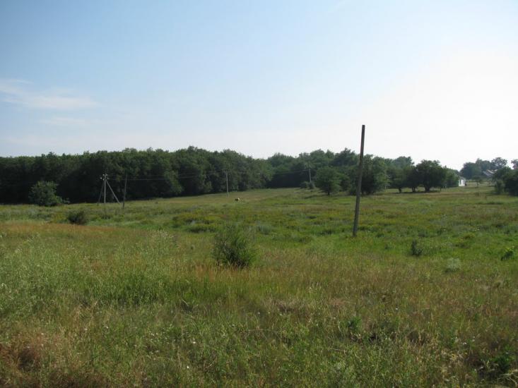 Весела Долина з panoramio.com - Веселая Долина