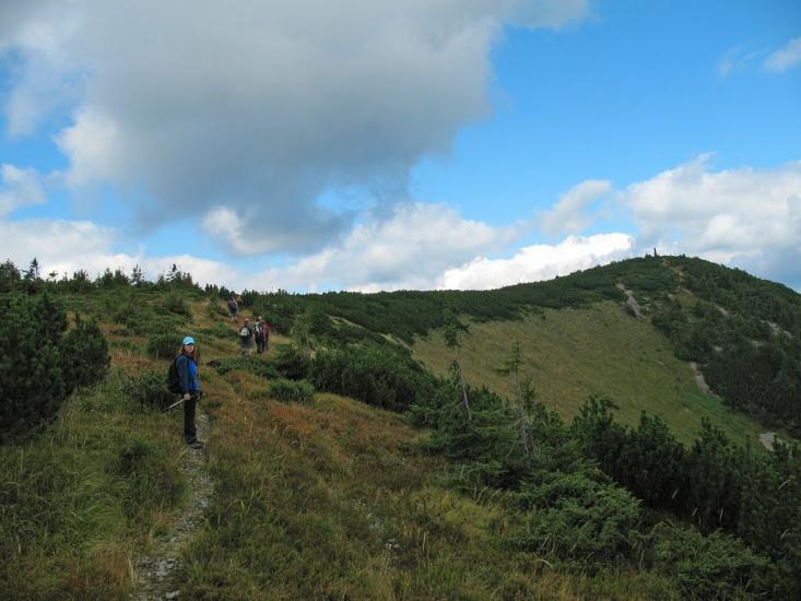 Стригальня з panoramio.com - Стригальня