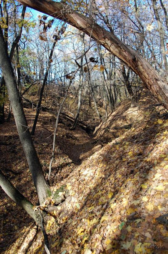 Кудряшівка з panoramio.com - Kudryashivka