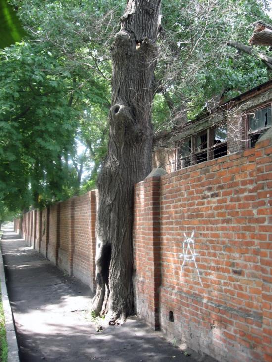 Охтирка з panoramio.com - Ахтырка