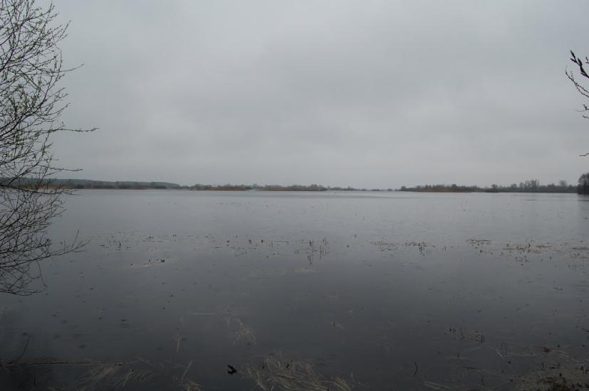 Комарове з panoramio.com - Комарово