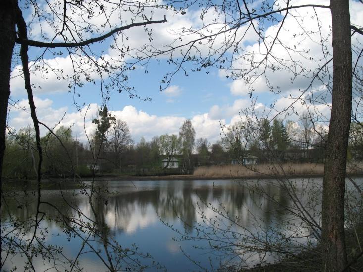 Велика Севастянівка з panoramio.com - Великая Севастьяновка