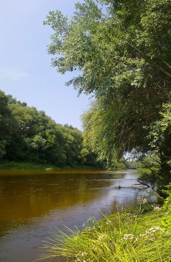 Говтва з panoramio.com - Говтва