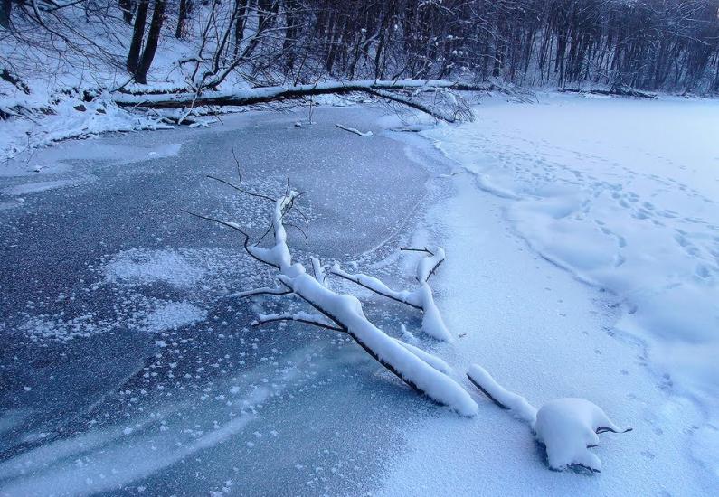 Скалівські Хутори з panoramio.com - Skalivski Khutory