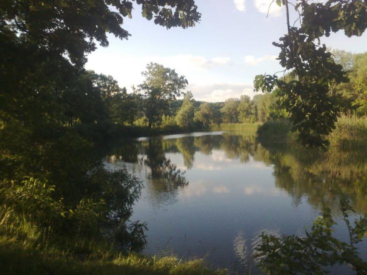Кунцеве з panoramio.com - Kuntseve