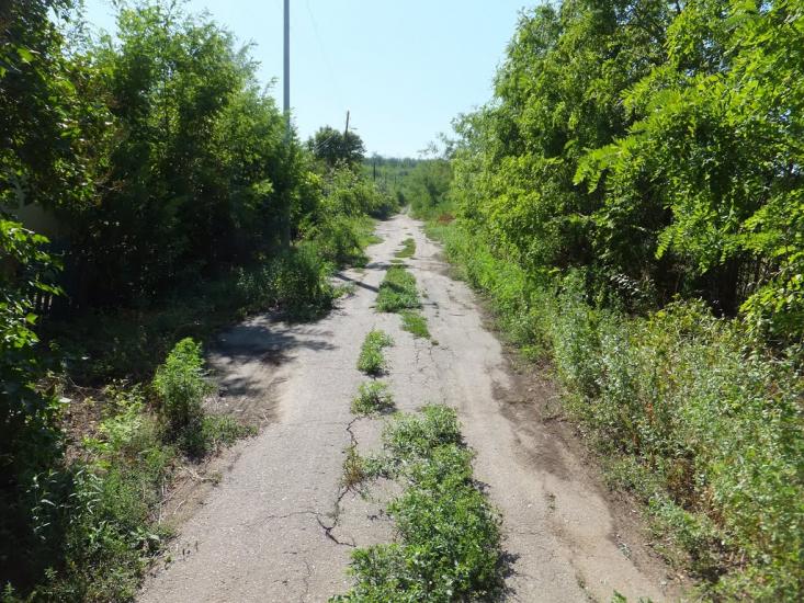 Кузнецове з panoramio.com - Кузнецово