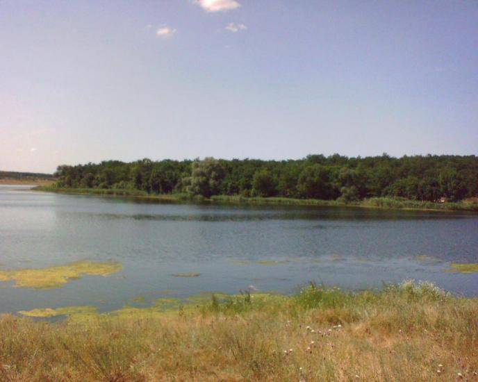 Павлопіль з panoramio.com - Павлопіль