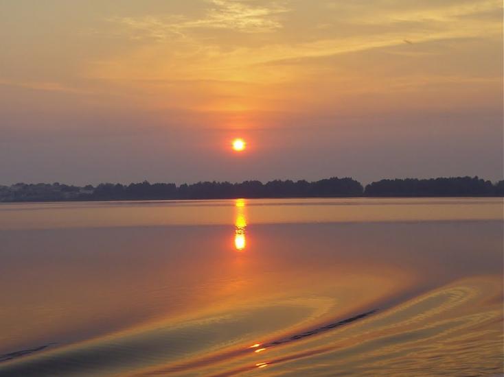 Вишеньки з panoramio.com - Вишенки