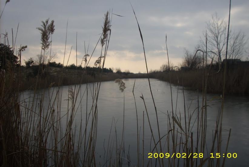 Солонці з panoramio.com - Солонцы