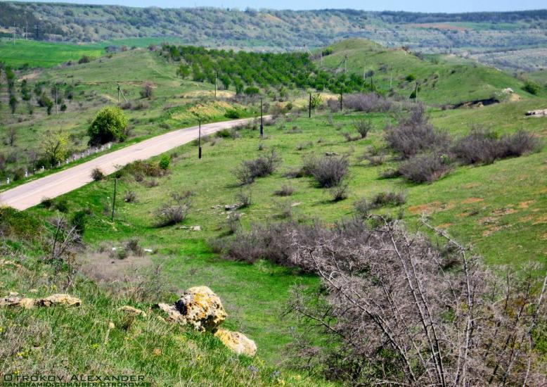 Некрасовка з panoramio.com - Некрасовка