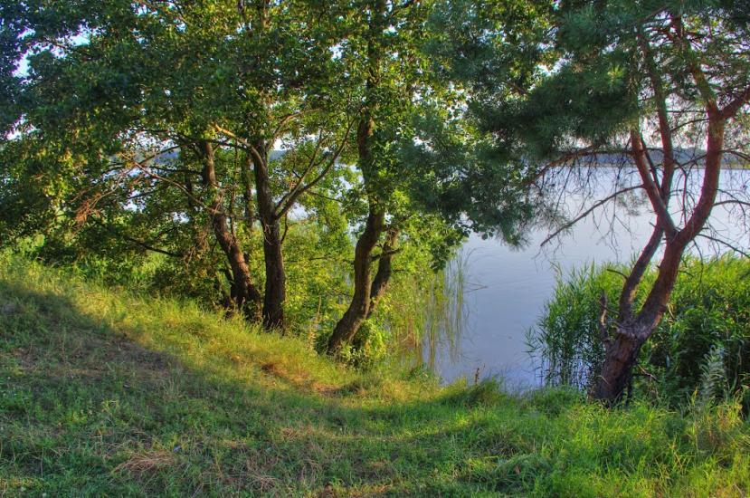 Сущанка з panoramio.com - Сущанка