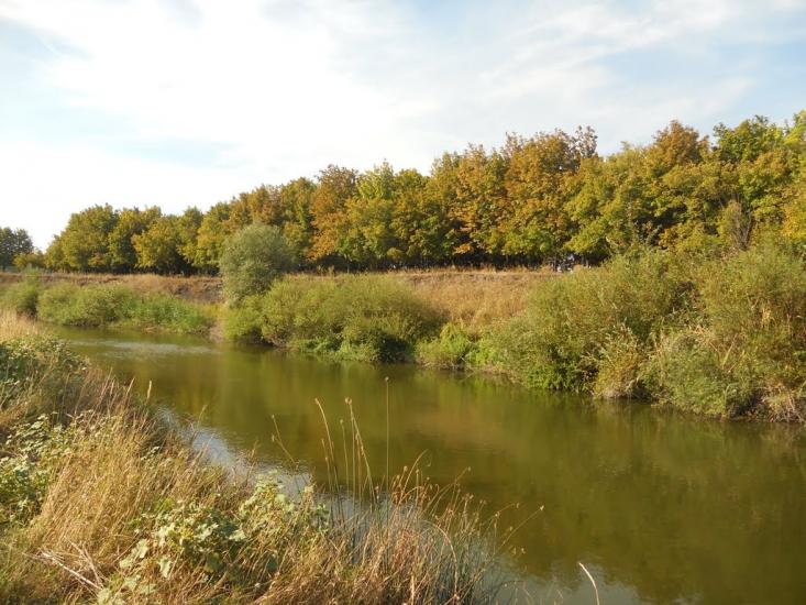 Кочережки з panoramio.com - Кочережки