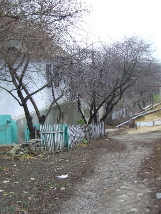 Чернівці з panoramio.com - Чернівці