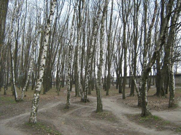 Лиман з panoramio.com - Лиман