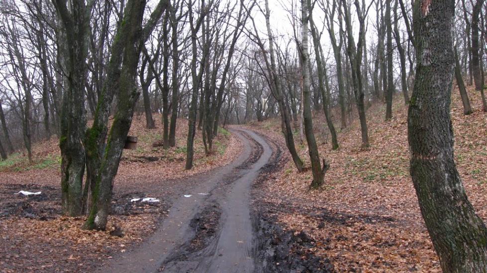 Никонорівка з panoramio.com - Никонорівка