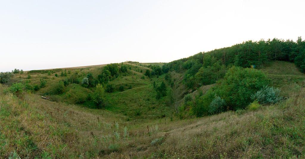 Грищинці з panoramio.com - Грищинцы