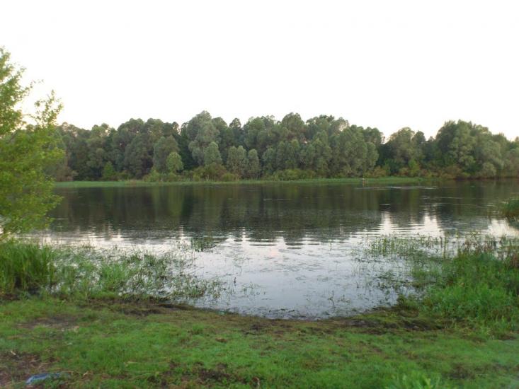 Прохорів з panoramio.com - Прохоров