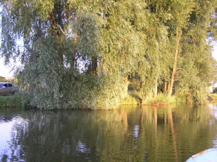 Зелений Колодязь з panoramio.com - Зелений Колодязь