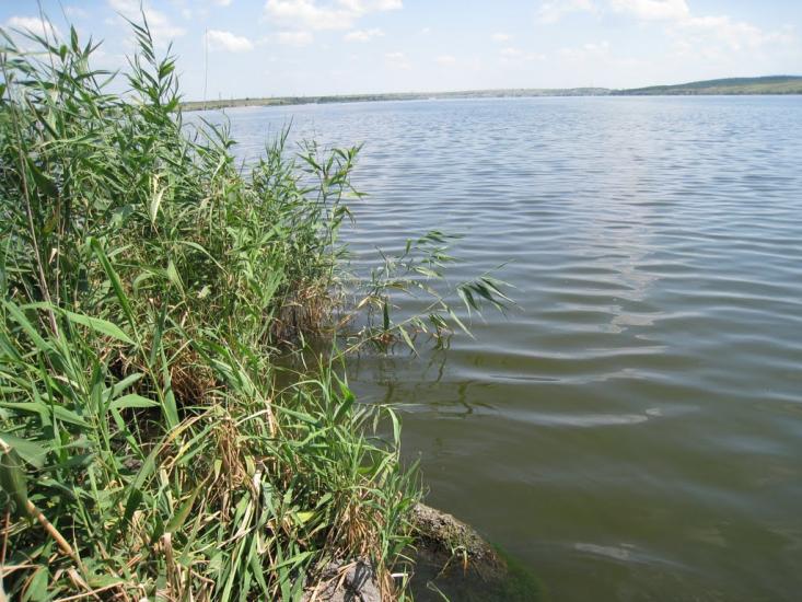 Новий Світ з panoramio.com - Новий Світ
