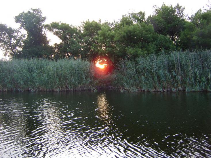Комар з panoramio.com - Komar
