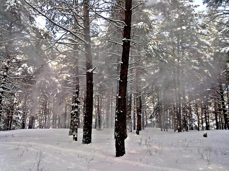 Хорошеве з panoramio.com - Хорошеве