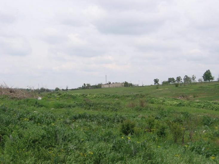 Арбузинка з panoramio.com - Арбузинка