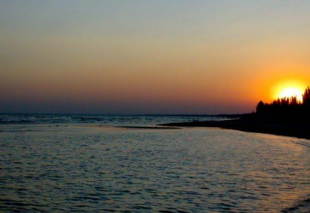 Орлівка з panoramio.com - Орлівка