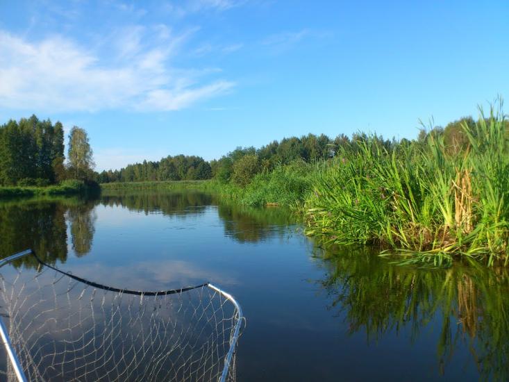 Прохорів з panoramio.com - Прохоров