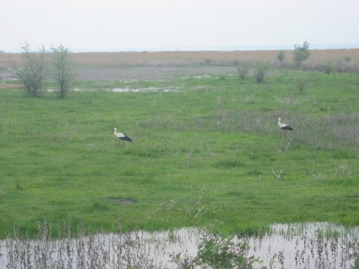 Удобне з panoramio.com - Udobne