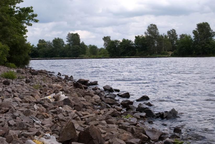 Вишеньки з panoramio.com - Вишенки