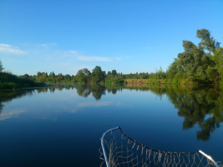Прохорів з panoramio.com - Прохоров