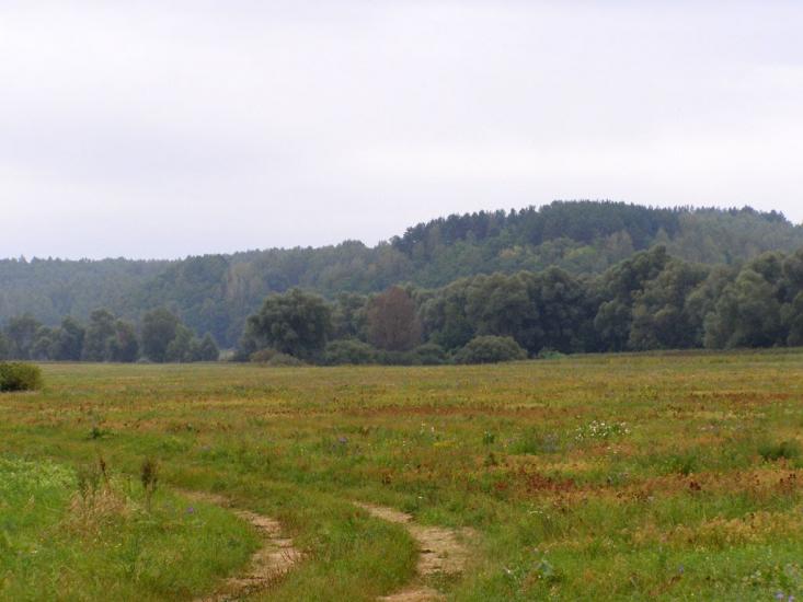Радичів з panoramio.com - Радичев