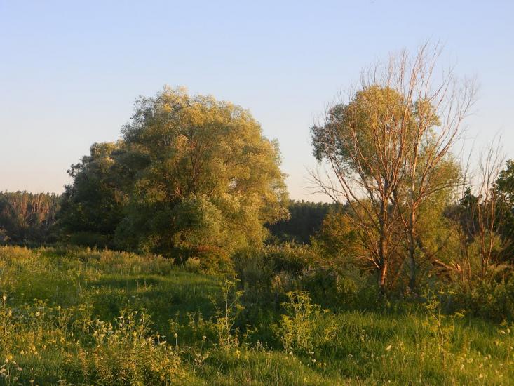 Білозір'я з panoramio.com - Белозерье