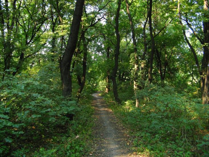 Новожеланне з panoramio.com - Новожеланне