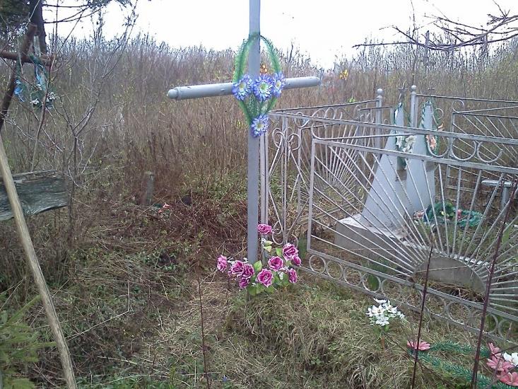 Буряки з panoramio.com - Буряки