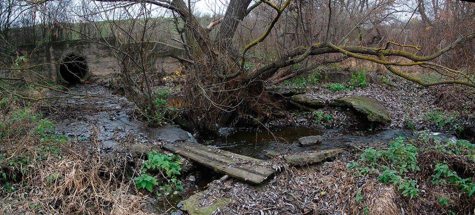 Скалівські Хутори з panoramio.com - Скалівські Хутори