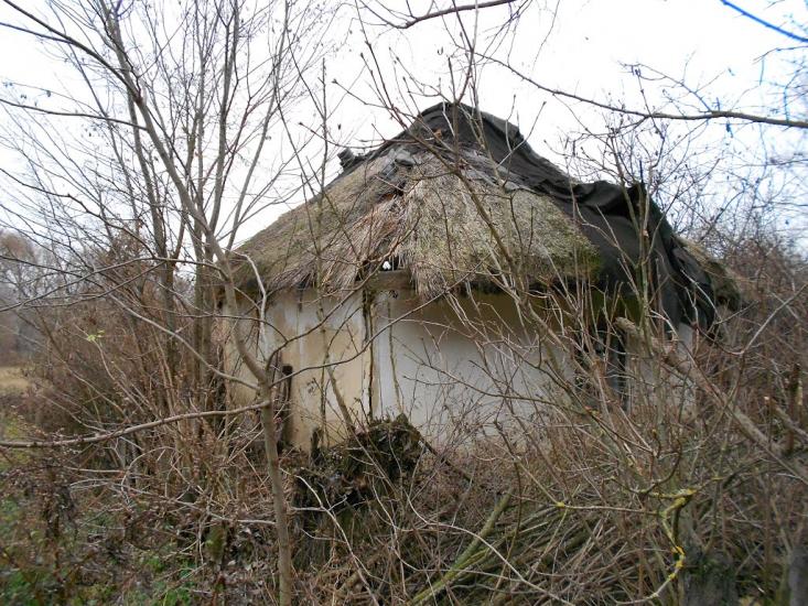 Думанці з panoramio.com - Думанці