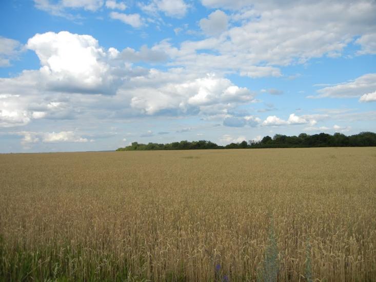 Введенка з panoramio.com - Введенка