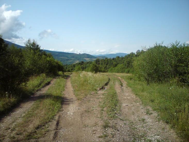 Свалява з panoramio.com - Свалява