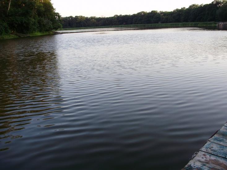 Сокільники з panoramio.com - Сокольники