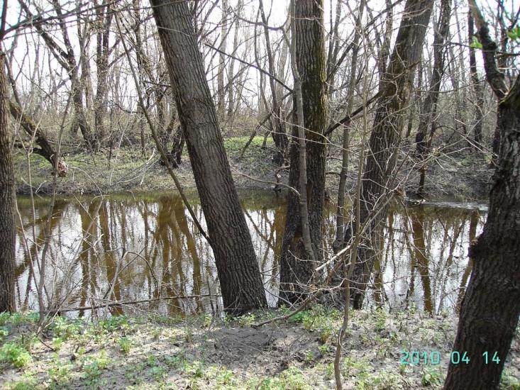 Федорівка з panoramio.com - Федоровка